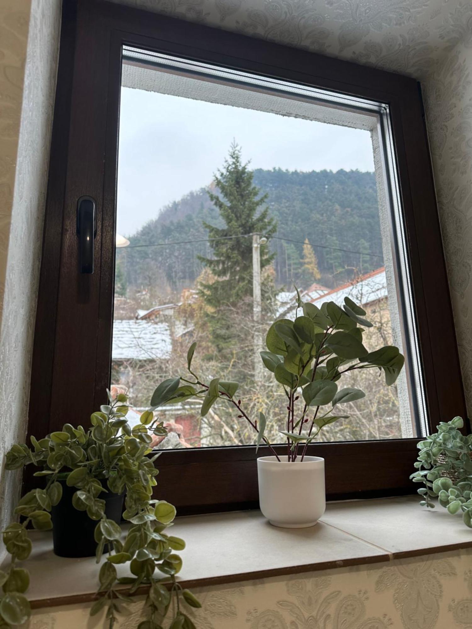 Schei House Daire Braşov Dış mekan fotoğraf